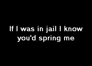 If I was in jail I know

you'd spring me