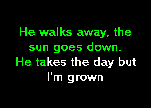 He walks away, the
sun goes down.

He takes the day but
I'm grown