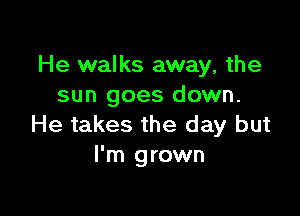 He walks away, the
sun goes down.

He takes the day but
I'm grown