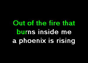 Out of the fire that

burns inside me
a phoenix is rising