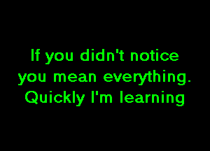 If you didn't notice

you mean everything.
Quickly I'm learning