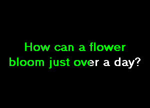 How can a flower

bloom just over a day?