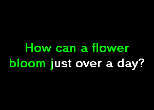 How can a flower

bloom just over a day?