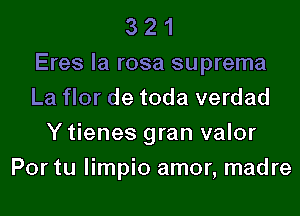 321

Eres la rosa suprema
La ror de toda verdad
Y tienes gran valor

Por tu limpio amor, madre