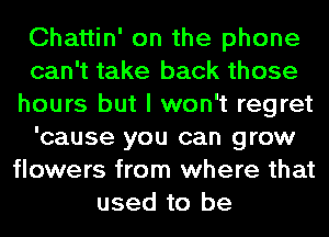 Chattin' on the phone
can't take back those
hours but I won't regret
'cause you can grow
flowers from where that
used to be