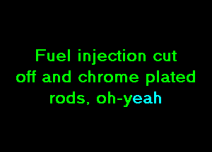 Fuel injection cut

off and chrome plated
rods, oh-yeah