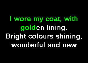 I wore my coat, with
golden lining.

Bright colours shining,
wonderful and new