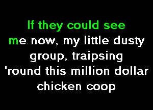 If they could see
me now, my little dusty
group, traipsing
'round this million dollar
chicken coop