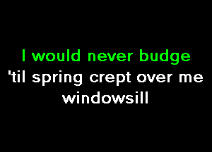I would never budge

'til spring crept over me
windowsill