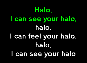 Halo,
I can see your halo,
halo,

I can feel your halo,
halo,
I can see your halo