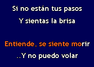 Si no estan tus pasos

Y sientas la brisa

Entiende, se siente morir

..Y no puedo volar