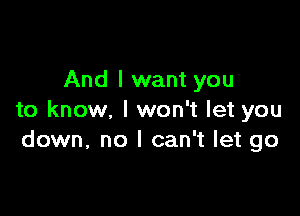 And I want you

to know, I won't let you
down, no I can't let go