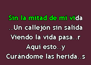 Sin la mitad de mi Vida
..Un callejc'm sin salida
Viendo la Vida pasa..r
Aqui esto..y
Curandome las herida..s