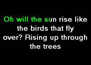 Oh will the sun rise like
the birds that fly

over? Rising up through
the trees