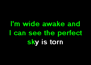 I'm wide awake and

I can see the perfect
sky is torn