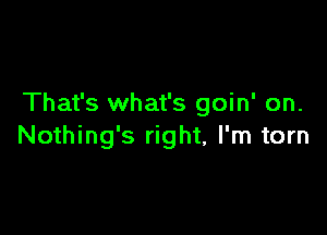 That's what's goin' on.

Nothing's right, I'm torn