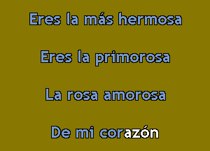 Eres la mas hermosa

Eres la primorosa

La rosa amorosa

De mi corazdn