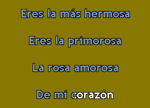 Eres la mas hermosa

Eres la primorosa

La rosa amorosa

De mi corazdn