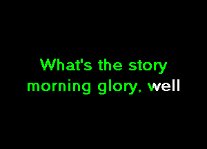 What's the story

morning glory, well