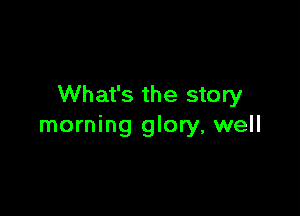 What's the story

morning glory, well