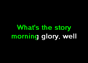 What's the story

morning glory, well