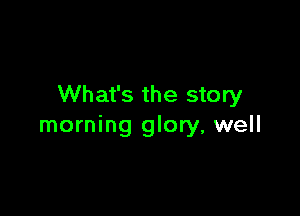 What's the story

morning glory, well