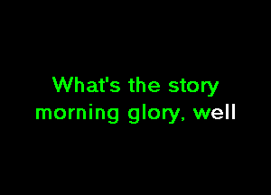 What's the story

morning glory, well