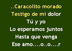 ..Caracolito morado
Testigo de mi dolor
TIJ y yo
Lo esperamos juntos
Hasta que venga

Ese amo....o..o....r l