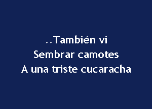 ..Tambiz n vi

Sembrar camotes
A una triste cucaracha