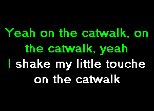 Yeah on the catwalk, on
the catwalk, yeah

I shake my little touche
on the catwalk