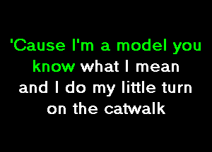 'Cause I'm a model you
know what I mean

and I do my little turn
on the catwalk