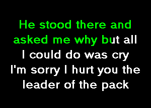 He stood there and
asked me why but all
I could do was cry
I'm sorry I hurt you the
leader of the pack