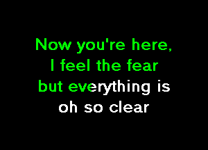 Now you're here,
I feel the fear

but everything is
oh so clear