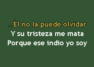 ..EI no la puede olvidar

Y su tristeza me mata
Porque ese indio yo soy