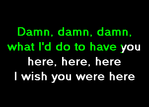 Damn, damn, damn,
what I'd do to have you

here, here, here
I wish you were here