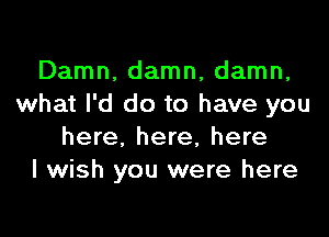 Damn, damn, damn,
what I'd do to have you

here, here, here
I wish you were here