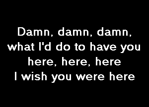 Damn, damn, damn,
what I'd do to have you

here, here, here
I wish you were here