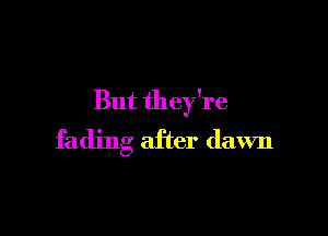 But they're

fading after dawn