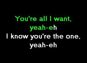 You're all I want,
yeah-eh

I know you're the one,
yeah-eh