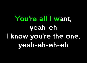 You're all I want,
yeah-eh

I know you're the one,
yeah-eh-eh-eh