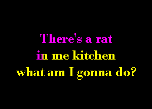 There's a rat
in me kitchen
What am I gonna do?