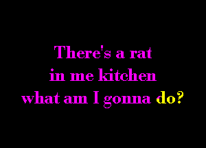 There's a rat
in me kitchen
what am I gonna do?