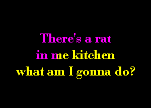 There's a rat
in me kitchen
What am I gonna do?