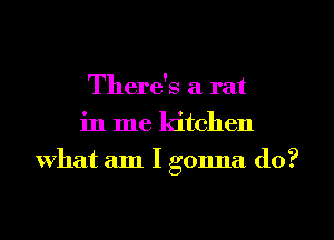 There's a rat
in me kitchen
What am I gonna do?