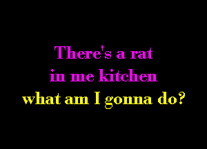 There's a rat
in me kitchen
What am I gonna do?