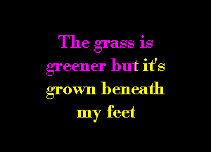 The grass is

greener but it's
grown beneath
my feet