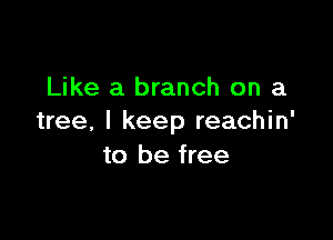 Like a branch on a

tree, I keep reachin'
to be free