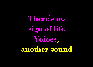 There's no

sign of life

Voices,
another sound