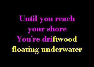 Until you reach

your shore
You're driftwood

floating Imderwater
