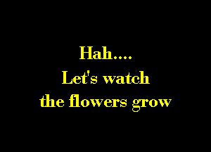 Let's watch

the flowers grow
